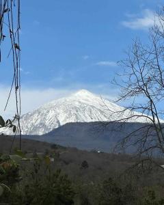 Finca Casa los Dragos