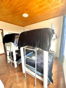 Finca Siberia, Sisga