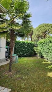 Albas House Lura1 Residence