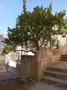 Lumía_guest house in San Paolo - 帕拉佐洛阿克雷伊德