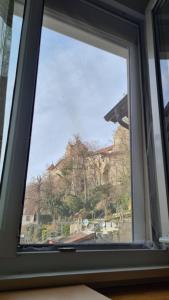 Schwabenstuben Einzelzimmer