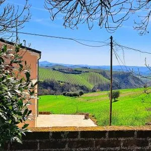 Sweet Home Offida - Cossignano