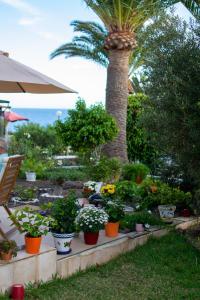 Bungalow Relax Marine