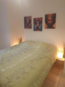 Appartements Les Mimosas : photos des chambres