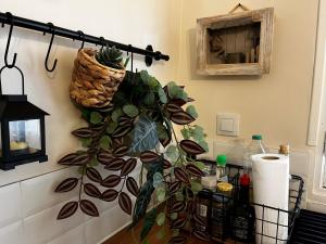 Appartements Maison provencale au calme de la campagne avec Jacuzzi : photos des chambres
