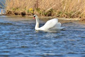 Royale Cube mit Dachterrasse Meerblick und Strand