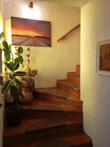 Studio Liznjan 11152a