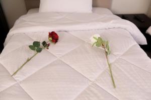 Duplex-Porto New Cairo