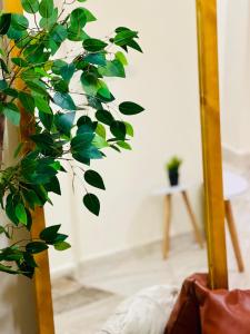 Apartment in New Cairo, Al-Rehab