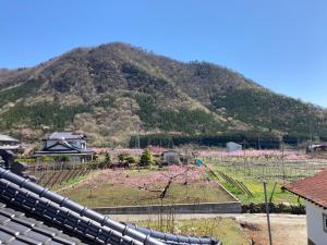 B&B Ladies Only Grape mama Grape room - Vacation STAY 11649