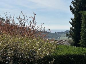 Maisons de vacances Maison Individuelle 2 Chambres avec Jardin, Piscine et Tennis, Proche du Centre-Village - FR-1-726-44 : photos des chambres