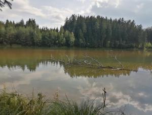 Ferienwohnung nähe Redbull Ring