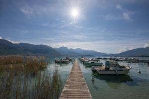 Villas Savoielac - Lac d'Annecy - Sevrier - Bord de lac : Villa Poisson Rouge : Maison de Vacances