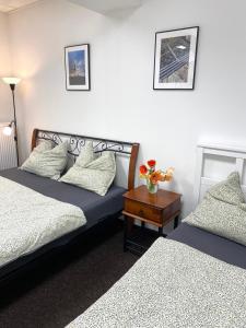 Ubytování Šantovka