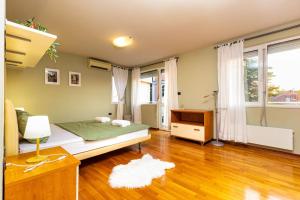La Primavera Spacious Apartment