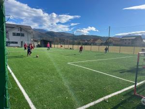 EPIC Vila Brașov, Cristian