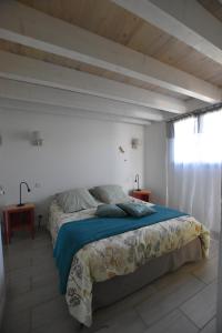 Adorable appartement entre Canal et Garonne