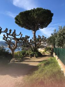 Stunning sea views from luxury 4 bed apartment close to beach at Cap Ras