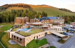 Almwellness Hotel Pierer - Kapfenberg