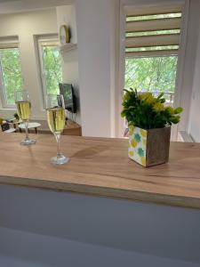 Kamche apartment