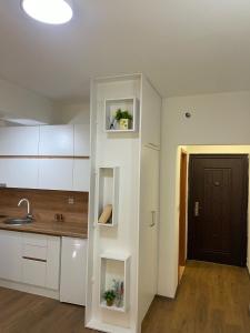 Kamche apartment