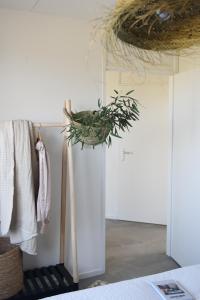 Vakantiehuisje Pluk 2 personen Zeezand Recreatie