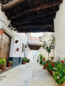 Apartamento los tinaos - 皮特尔