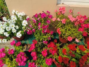 Anitas Home Aircondition