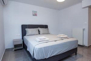 Charming Urban Oasis 1BR Apt near Megaro Mousikis