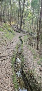 PONTE DE LIMA - VILLA OLIVAL - au calme, climatisée et chauffée - Piscine privée entre mer et montagne