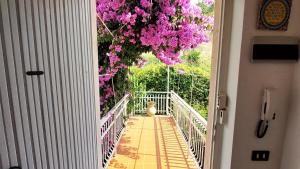 Appartamento la Bouganville