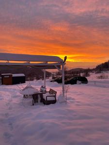 Domek w górach Tiny House Forest Jacuzziwidoki