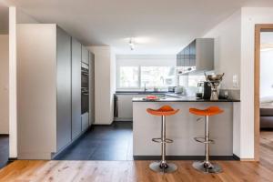 Eiger Panoramica - Aare Jungfrau AG