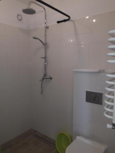 PAPROTÓWKA apartament Morski