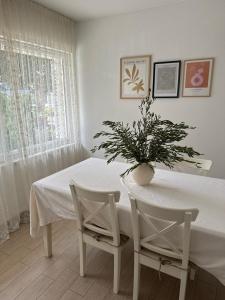 APARTMENT DoEL-parking , 2 minutes to the beach
