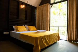 Eco Knuckles Holiday Lodge