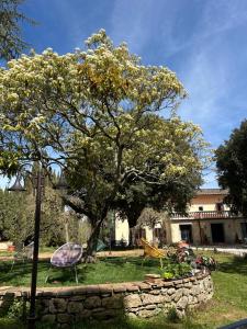 Villa Mucellena