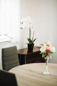 Apartman Sunny Hills