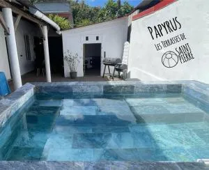 Terrasses de Saint Pierre - Papyrus - Le Morne Rouge