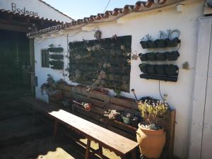 Apartamento El Baco entre viñedos