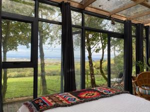 Sky gazer cabin in the woods