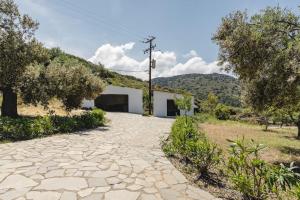 Los Olivos V.I.P Poolvilla Kritinia