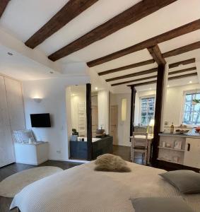 2 kleine Altstadt-Ferienwohnungen mit Garten & Herz