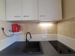 Studio pour 4, terrasse sud-est, parking privé - FR-1-326-591