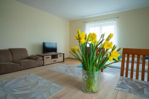 Noclegi Junior Wągrowiec