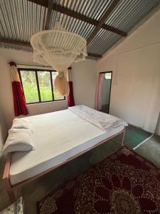 Nanus Bardiya Homestay