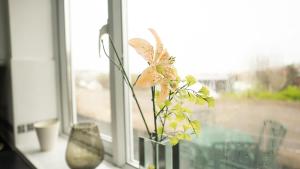 Freshly Renovated Apartment on High Street