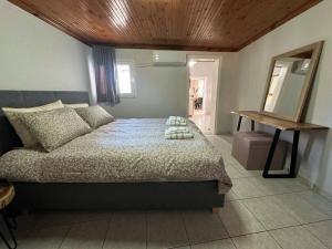 Aegean Grey Horizon House