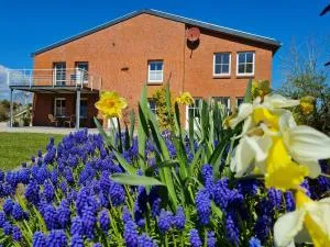 Ferienwohnung-Kornkammer - Presen