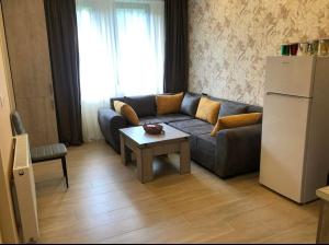 Bakuriani Park Recidence Apartment